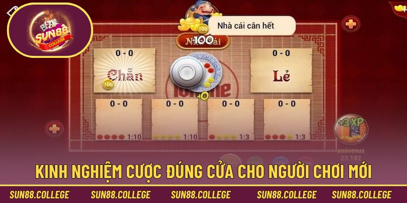 Kinh nghiệm cược đúng cửa cho người chơi mới