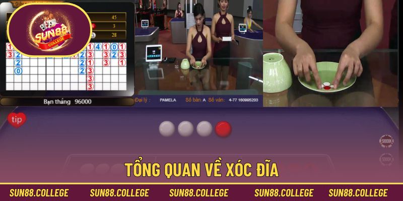 Tổng quan về xóc đĩa